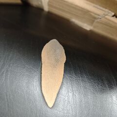 アドレスV125 シートの画像