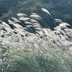 同年代友達作り