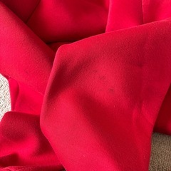 largeサイズ　赤　パーカー　の画像