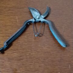 剪定鋏200m/mの画像