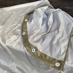 猫カーテン？の画像