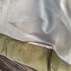 猫カーテン？の画像