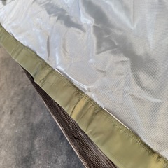 猫カーテン？の画像