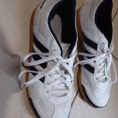 adidasメンズスニーカー(室内履き？)24.5cmの画像