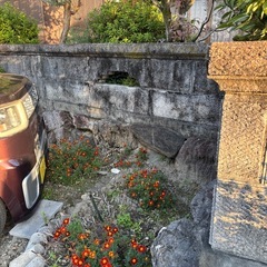 庭石、植樹、ブロック撤去の画像