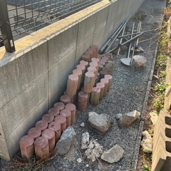 ワイヤープランツ へデラ等　大量の画像