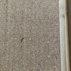 ⭕️コルクボードの画像