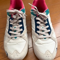 ノースフェイス　メンズスニーカーの画像