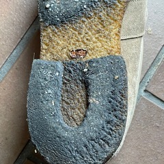 スコッチグレイン　
スエードのビットローファーの画像