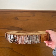 花台（生木
）の画像