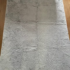 ニトリ　Nウォーム　カーペット　ラグ　185cm×130cmの画像