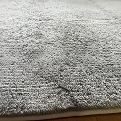 ニトリ　Nウォーム　カーペット　ラグ　185cm×130cmの画像