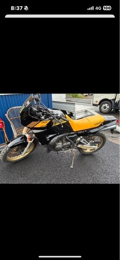 希少！低走行TDR250