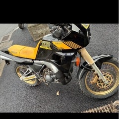 希少！低走行TDR250の画像