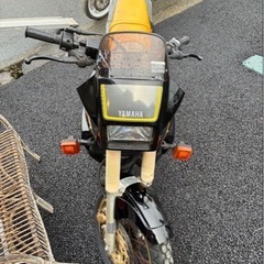 希少！低走行TDR250の画像