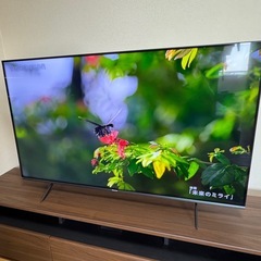 55型4Kテレビ＋テレビ台　2024年購入　の画像