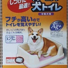 【新品未使用】犬用トイレ　すのこ付きの画像