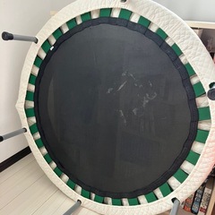 子供用とらんほトランポリンの画像