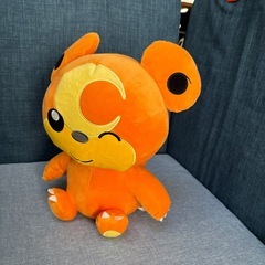 ヒメグマぬいぐるみの画像