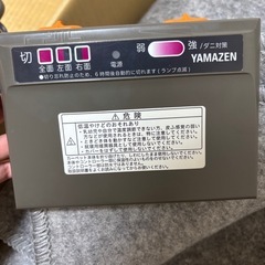 2020年製　山善　ホットカーペットの画像