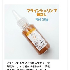 熱帯魚　プラチナパロット　稚魚10匹の画像