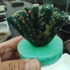 松本市【道の駅】でメダカ販売の画像