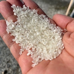 【オンライン決済　発送専用】　　　　　　
令和7年　兵庫県産　新米　ヒノヒカリ　玄米　30キロの画像