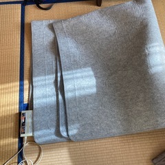 ホットカーペットの画像