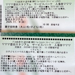 11/9●WRC ラリージャパン 豊田スタジアム サービスパーク入場券 チケットの画像