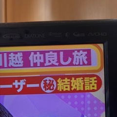 MITSUBISHI REAL液晶テレビLCD-32ML10の画像