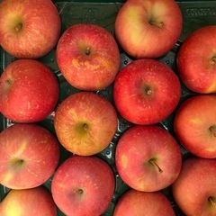 みかん1箱10kgの画像