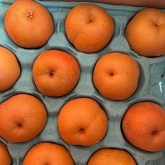 みかん1箱10kgの画像