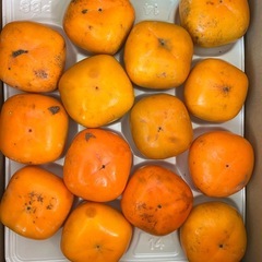 みかん1箱10kgの画像