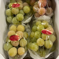 みかん1箱10kgの画像