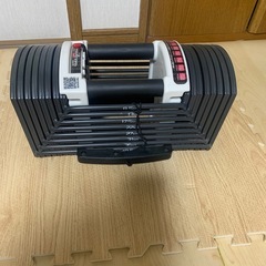 可変式ダンベル40.5キロ2個
の画像