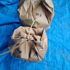 新米　ヒノヒカリ　10キロ　籾米の画像