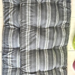 2枚セット
ふかふかクッションの画像