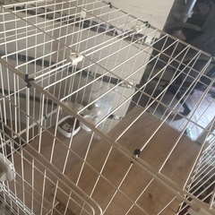 キャットゲージ 3段 トイレ付きの画像