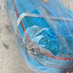 【未使用品】ブルースリングの画像