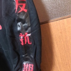 一点物フーディーの画像