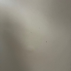 イームズ チェア 一脚 汚れありますの画像