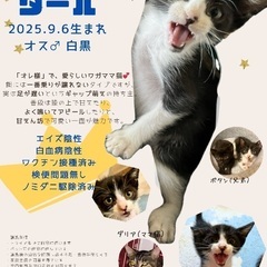 【白黒】ダールくん　2025.9.6生　オス