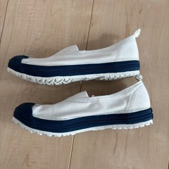 ムーンスター体育館シューズ19EEの画像