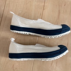 ムーンスター体育館シューズ19EEの画像