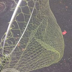 魚用たもの画像