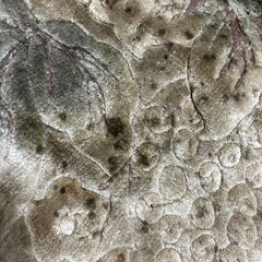 レトロUSED 中国製？総シルク6畳ラグカーペットの画像