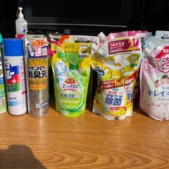 一個　110円　洗剤　類の画像
