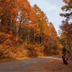 【多摩地区、多摩に近い埼玉/神奈川の👩若干名募集】小人数で和気あ...
