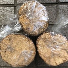 コナラ産卵木 良材 太め 未開封3本セットの画像