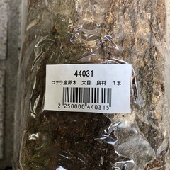 コナラ産卵木 良材 太め 未開封3本セットの画像